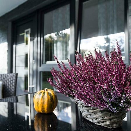 Ferienwohnung Saalhausen Sauerland Леннештадт Экстерьер фото