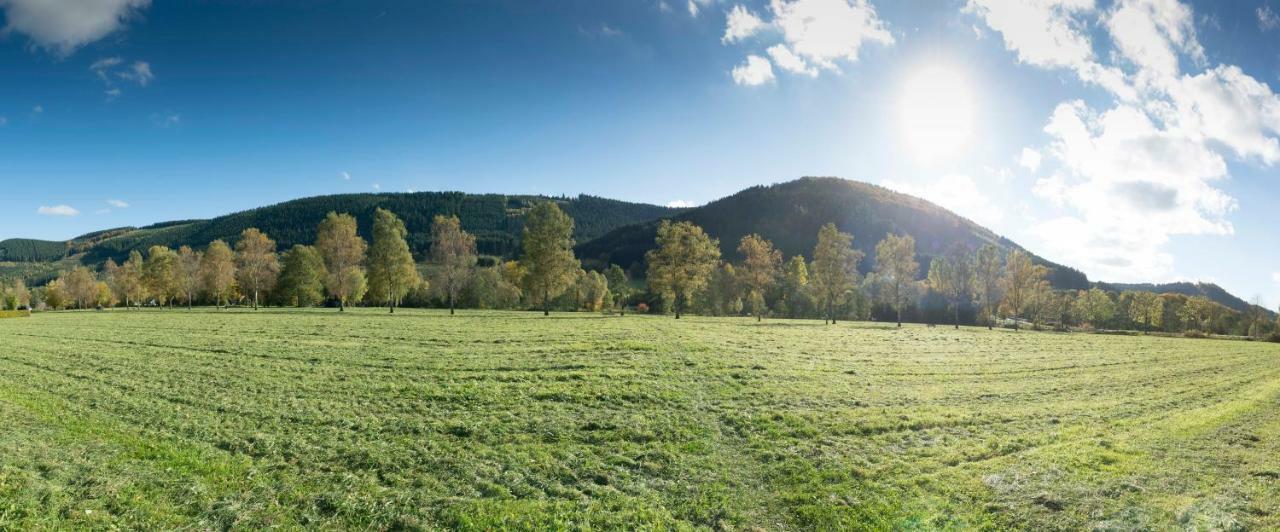 Ferienwohnung Saalhausen Sauerland Леннештадт Экстерьер фото