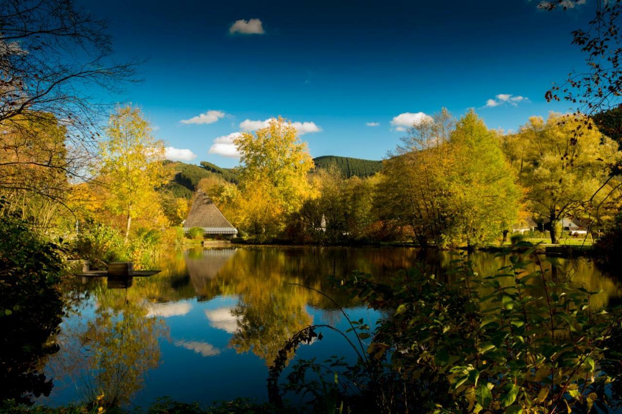 Ferienwohnung Saalhausen Sauerland Леннештадт Экстерьер фото