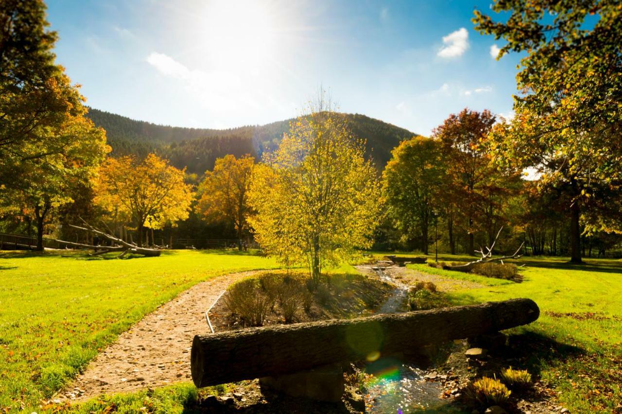 Ferienwohnung Saalhausen Sauerland Леннештадт Экстерьер фото